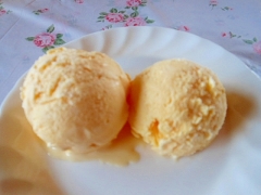 我が家の簡単バニラアイスクリーム