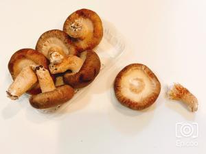 長持ち 生椎茸の冷蔵 冷凍保存方法 レシピ 作り方 By 新米幸せママ 楽天レシピ