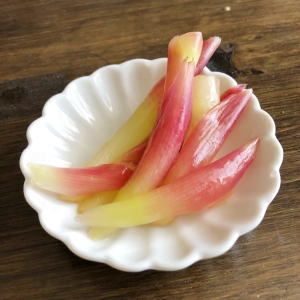 簡単 ピンクが綺麗なみょうがの茎の甘酢漬け レシピ 作り方 By Emwork 楽天レシピ