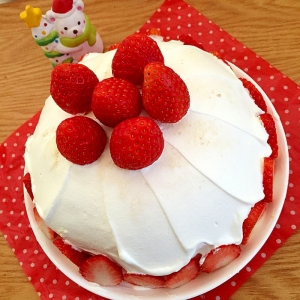 静める 一目 サイト ケーキ ドーム 型 作り方 Gyoda Sakura Jp