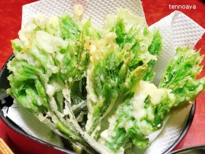 簡単 美味 春を食べよう コシアブラの天ぷら レシピ 作り方 By 天の文 楽天レシピ