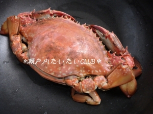 活渡り蟹のしめ方 レシピ 作り方 By ゆきちゃんぽんのパパ 楽天レシピ