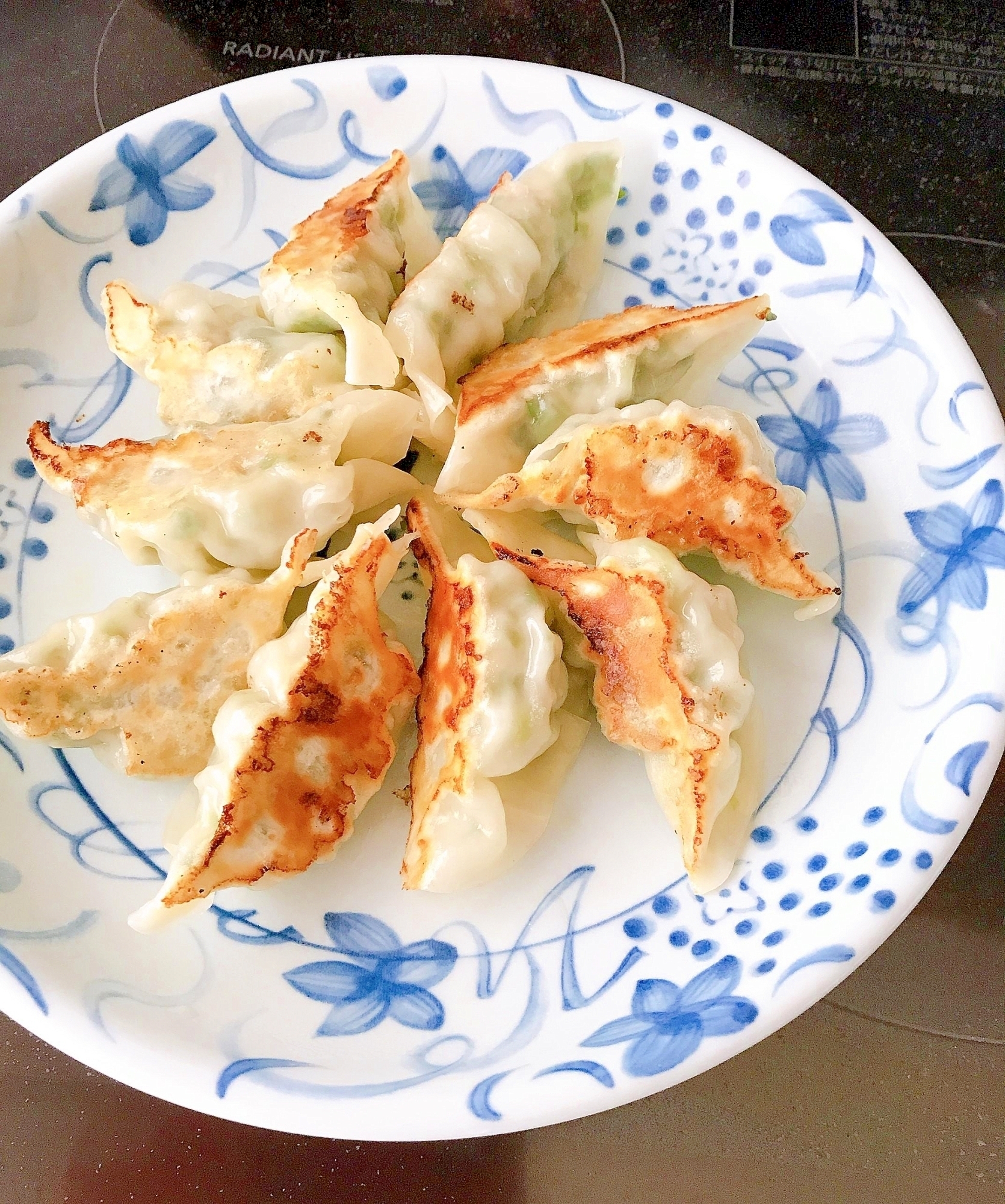 How To Make Gyoza (Japanese Potstickers) (Recipe) 餃子の作り方 (レシピ) 